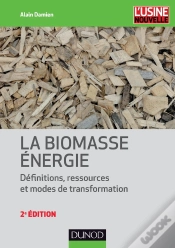 Capa do artigo La Biomasse Énergie ; Définitions, Ressources Et Modes De Transformation (2e Édition)