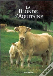 Capa do artigo La Blonde D