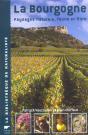 La Bourgogne - Preview