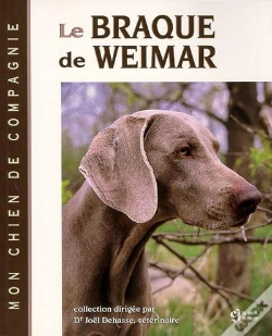 Capa do artigo La Braque De Weimar