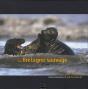 La Bretagne Sauvage - Preview