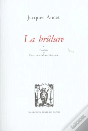 Capa do artigo La Brulure