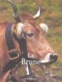 La Brune - Preview