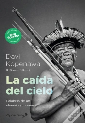 Capa do artigo La Caída Del Cielo