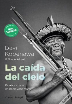 Capa do artigo La Caída Del Cielo