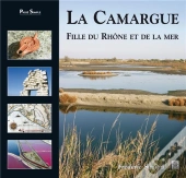 La Camargue - Fille Du Rhone Et De La Mer