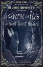 La Caverne Des Fées Du Mont Saint-Hilaire - Preview