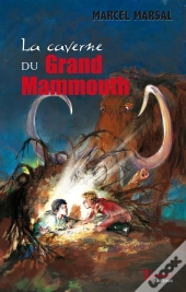 La Caverne Du Grand Mammouth