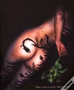 Capa do artigo La Chair Nue S'Articule