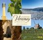 La Champagne A Verzenay - Preview