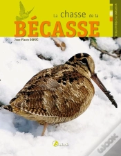 Capa do artigo La Chasse De La Becasse