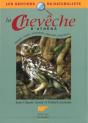 La Chouette Cheveche - Preview