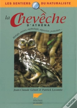 Capa do artigo La Chouette Cheveche