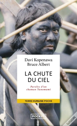 Capa do artigo La Chute Du Ciel
