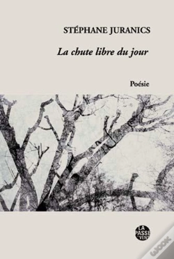Capa do artigo La Chute Libre Du Jour