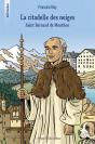 La Citadelle Des Neiges : Saint Bernard De Menthon - Preview