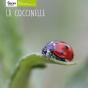 La Coccinelle - Preview