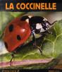 La Coccinelle - Preview