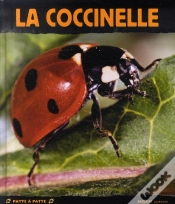 Capa do artigo La Coccinelle