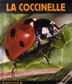 Capa do artigo La Coccinelle