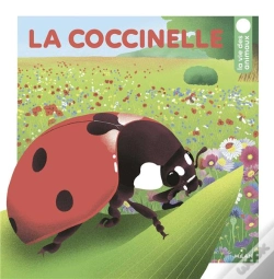 Capa do artigo La Coccinelle
