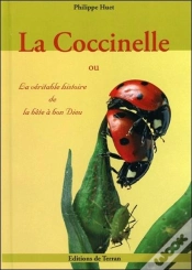 Capa do artigo La Coccinelle