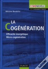 La Cogénération ; Efficacité Énergétique Micro-Cogénération