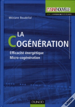 Capa do artigo La Cogénération ; Efficacité Énergétique Micro-Cogénération