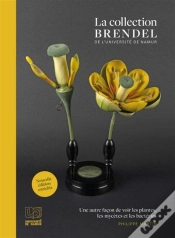 Capa do artigo La Collection Brendel De L