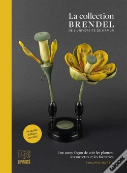 Capa do artigo La Collection Brendel De L'Université De Namur : Une Autre Façon De Voir