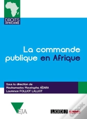 La Commande Publique En Afrique