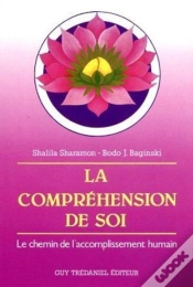 Capa do artigo La Comprehension De Soi - Le Chemin De L