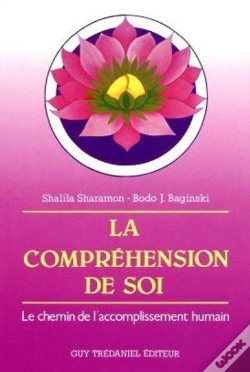 Capa do artigo La Comprehension De Soi - Le Chemin De L'Accomplissement Humain
