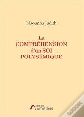 La Comprehension D'Un Soi Polysemique