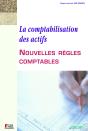 La Comptabilisation Des Actifs : Nouvelles Regles Comptables - Preview