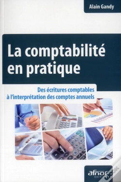 Capa do artigo La Comptabilité En Pratique ; Des Écritures Comptables À L'Interprétation Des Comptes Annuels