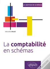 Capa do artigo La Comptabilité En Schémas