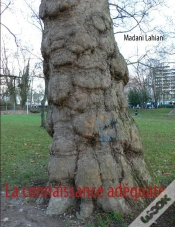 Capa do artigo La Connaissance Adéquate