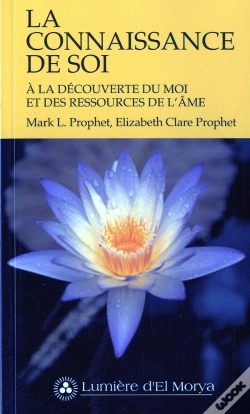 Capa do artigo La Connaissance De Soi - A La Decouverte Du Moi Et Des Ressources De L'Ame