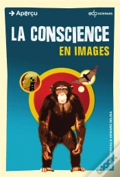 Capa do artigo La Conscience En Images
