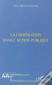 La Coopération Dans L'Action Publique