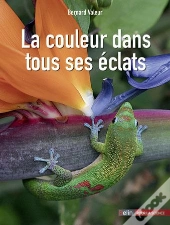 La Couleur Dans Tous Ses Éclats