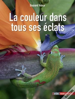 Capa do artigo La Couleur Dans Tous Ses Éclats