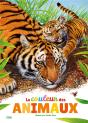 La Couleur Des Animaux - Preview