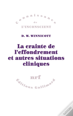 Capa do artigo La Crainte De L'Effondrement Et Autres Situations Cliniques