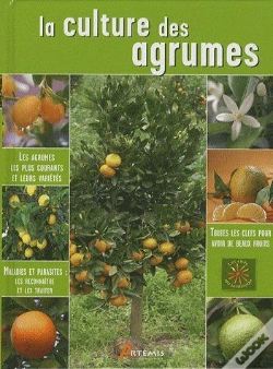 Capa do artigo La Culture Des Agrumes