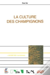 La Culture Des Champignons