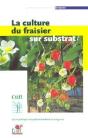La Culture Du Fraisier Sur Substrat - Preview