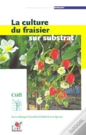 La Culture Du Fraisier Sur Substrat