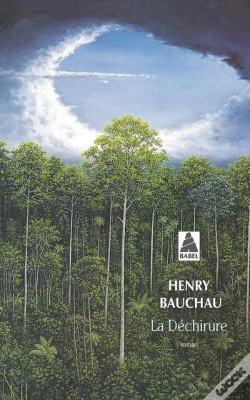 Capa do artigo La Déchirure